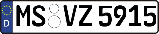 MS-VZ5915