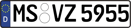 MS-VZ5955