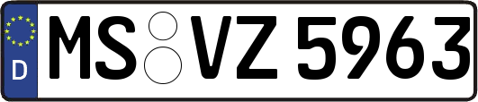MS-VZ5963