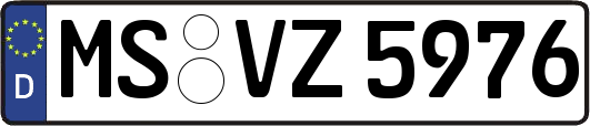 MS-VZ5976