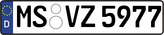 MS-VZ5977