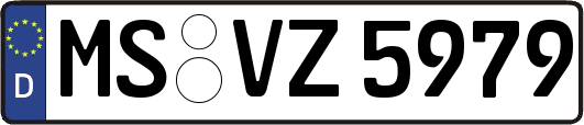 MS-VZ5979
