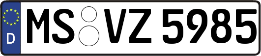 MS-VZ5985