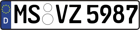 MS-VZ5987