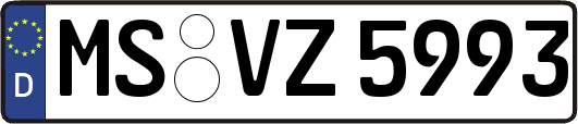 MS-VZ5993
