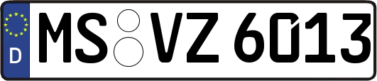 MS-VZ6013