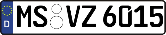 MS-VZ6015