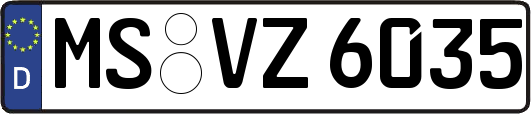 MS-VZ6035