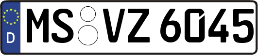 MS-VZ6045