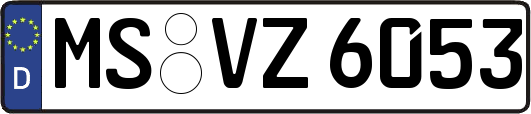 MS-VZ6053