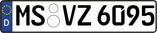 MS-VZ6095