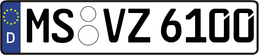 MS-VZ6100