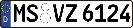 MS-VZ6124