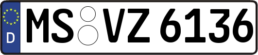 MS-VZ6136