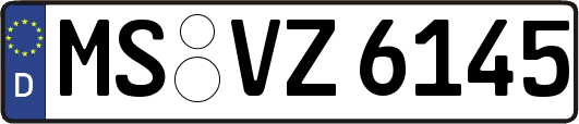 MS-VZ6145