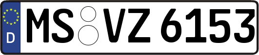 MS-VZ6153