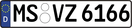 MS-VZ6166