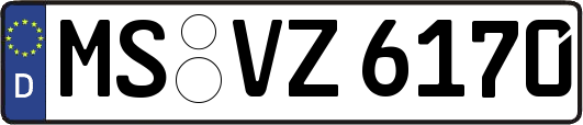 MS-VZ6170