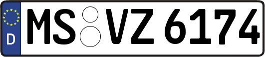 MS-VZ6174
