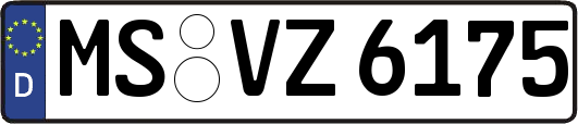 MS-VZ6175
