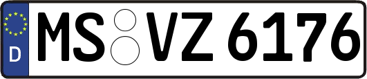 MS-VZ6176