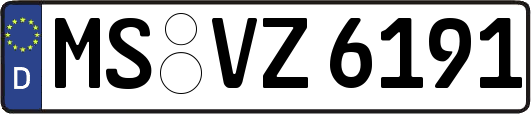 MS-VZ6191