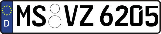 MS-VZ6205