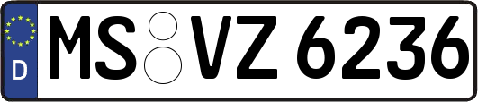 MS-VZ6236