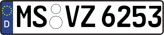 MS-VZ6253