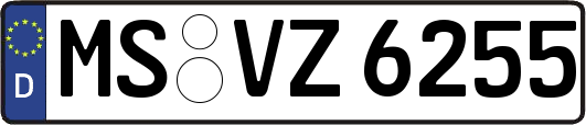 MS-VZ6255