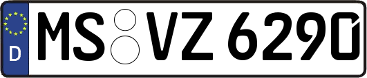 MS-VZ6290