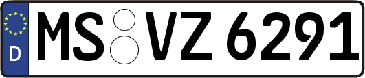 MS-VZ6291