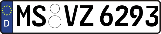 MS-VZ6293