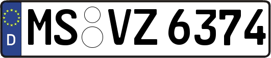 MS-VZ6374
