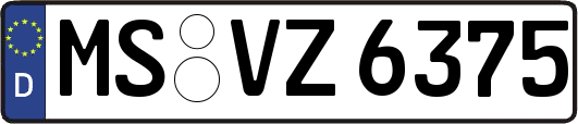MS-VZ6375