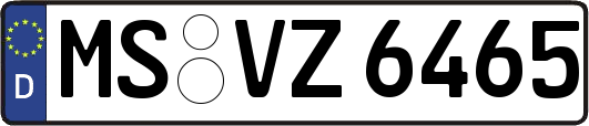 MS-VZ6465
