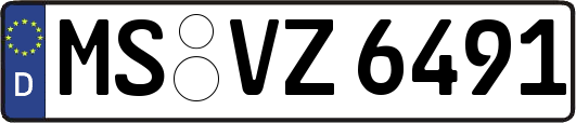MS-VZ6491