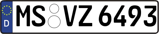MS-VZ6493