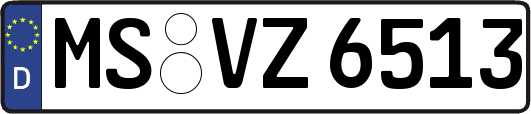 MS-VZ6513