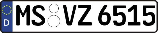 MS-VZ6515
