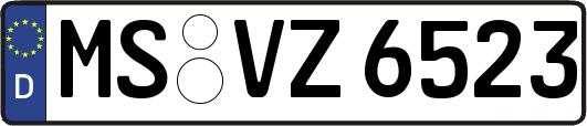 MS-VZ6523