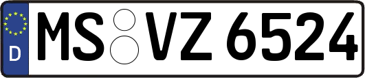 MS-VZ6524