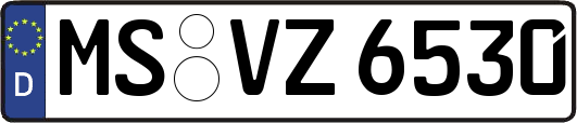 MS-VZ6530