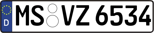 MS-VZ6534