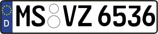 MS-VZ6536