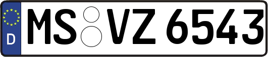 MS-VZ6543
