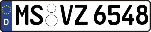 MS-VZ6548