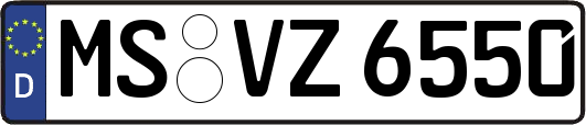 MS-VZ6550