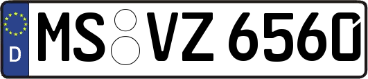 MS-VZ6560