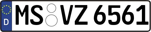 MS-VZ6561